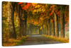 Polish Autumn Road Wall Art