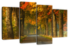Polish Autumn Road Wall Art