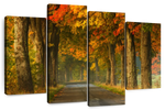 Polish Autumn Road Wall Art