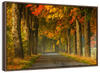 Polish Autumn Road Wall Art