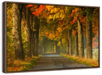 Polish Autumn Road Wall Art
