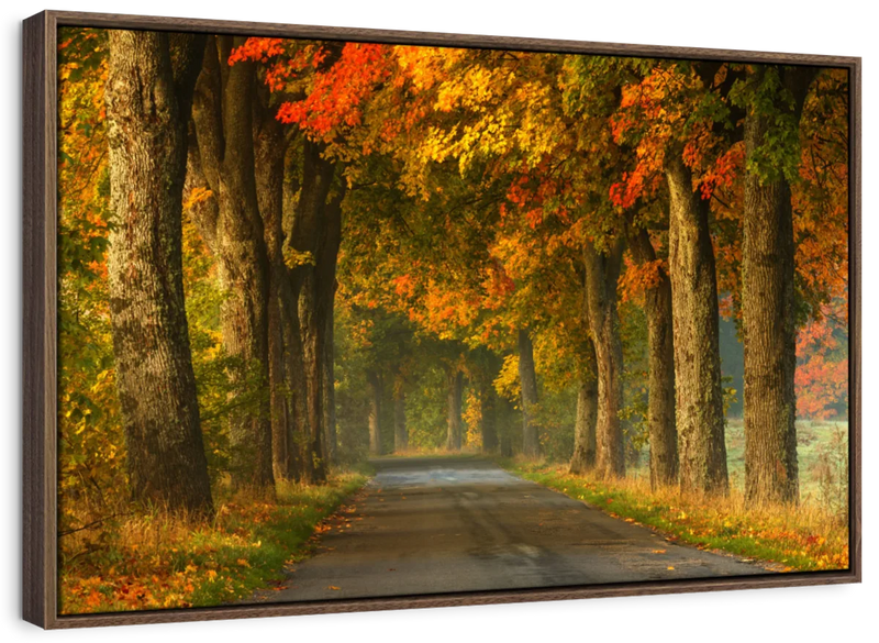 Polish Autumn Road Wall Art