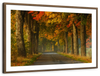 Polish Autumn Road Wall Art