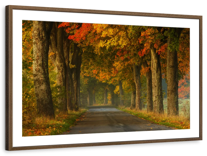 Polish Autumn Road Wall Art