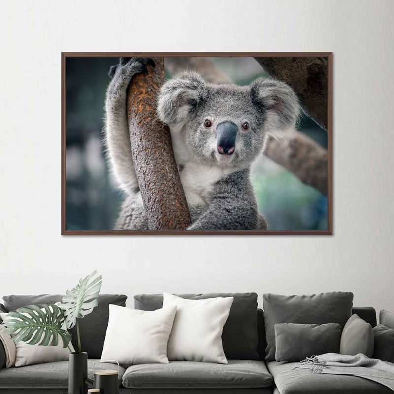 Happy Koala Wall Art