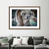 Happy Koala Wall Art