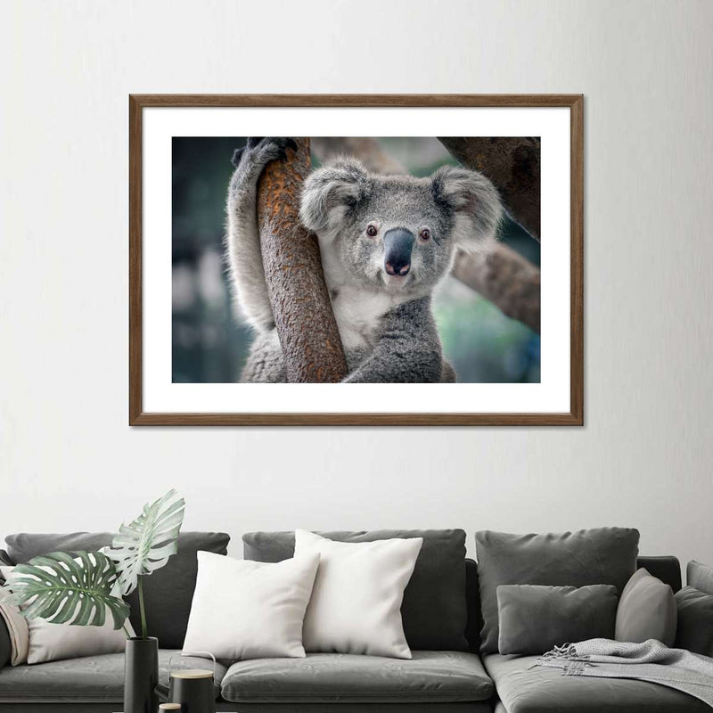 Happy Koala Wall Art