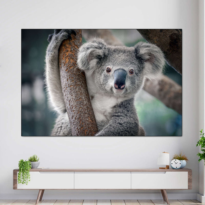Happy Koala Wall Art