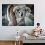 Happy Koala Wall Art