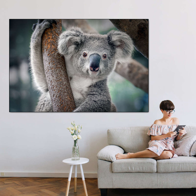 Happy Koala Wall Art