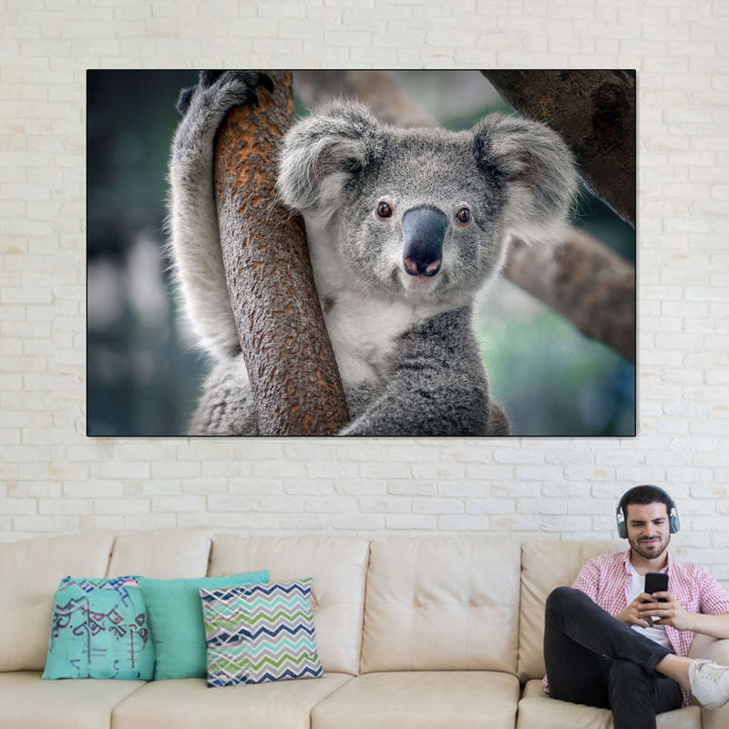 Happy Koala Wall Art