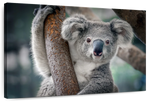 Happy Koala Wall Art