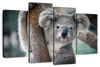 Happy Koala Wall Art