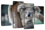 Happy Koala Wall Art