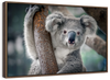 Happy Koala Wall Art