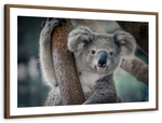 Happy Koala Wall Art