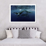 Humpback Whales Wall Art