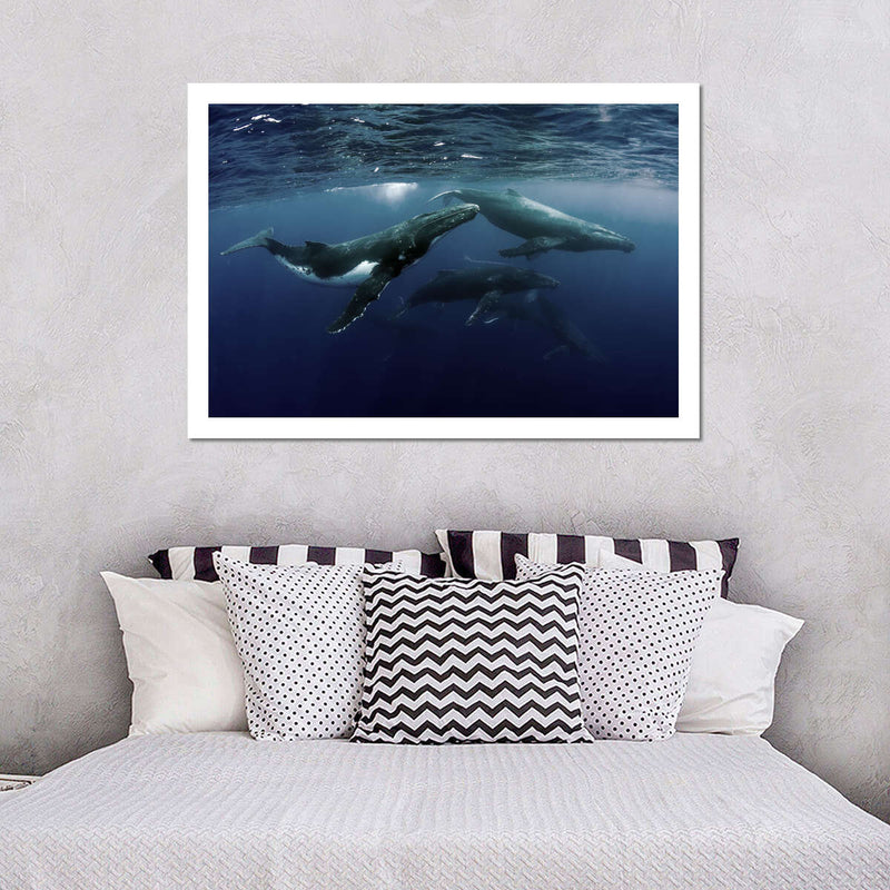 Humpback Whales Wall Art