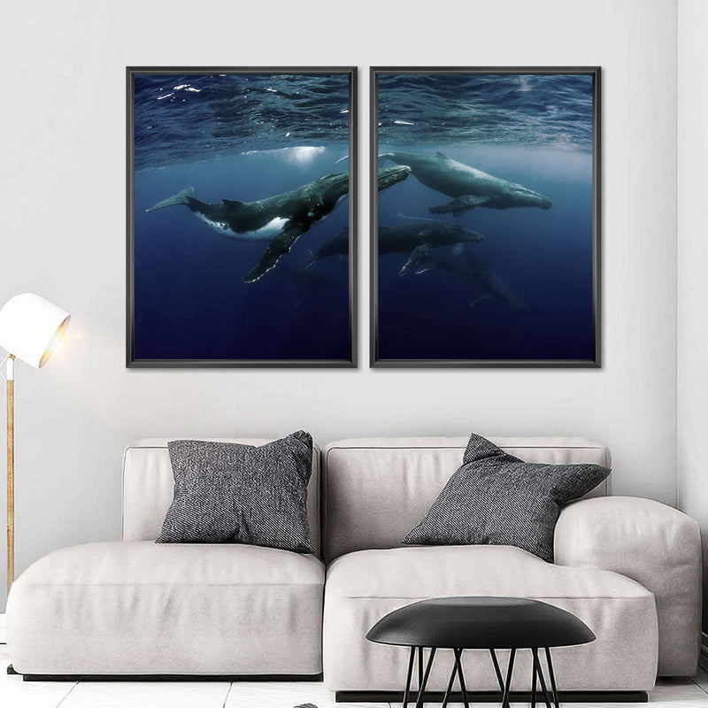 Humpback Whales Wall Art