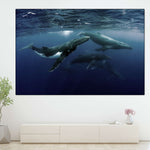 Humpback Whales Wall Art