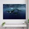 Humpback Whales Wall Art