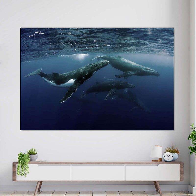 Humpback Whales Wall Art