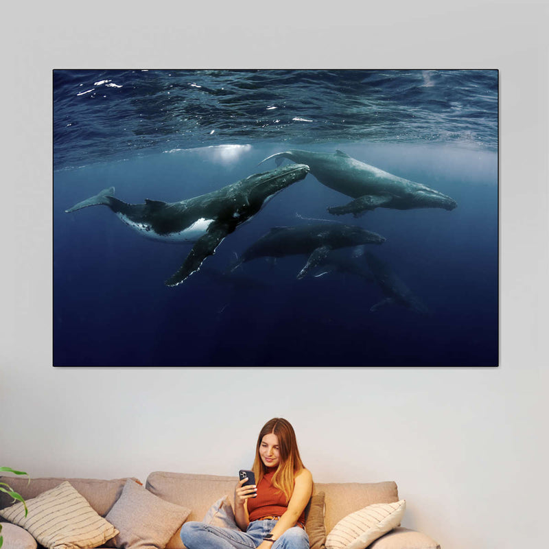 Humpback Whales Wall Art