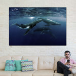 Humpback Whales Wall Art