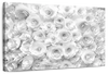 White Roses Wall Art