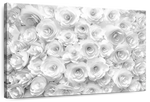White Roses Wall Art