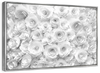 White Roses Wall Art