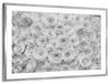 White Roses Wall Art
