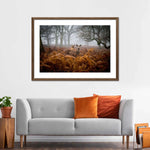 Richmond Park Deer Wall Art