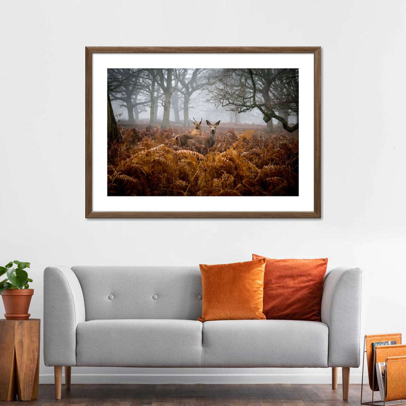 Richmond Park Deer Wall Art