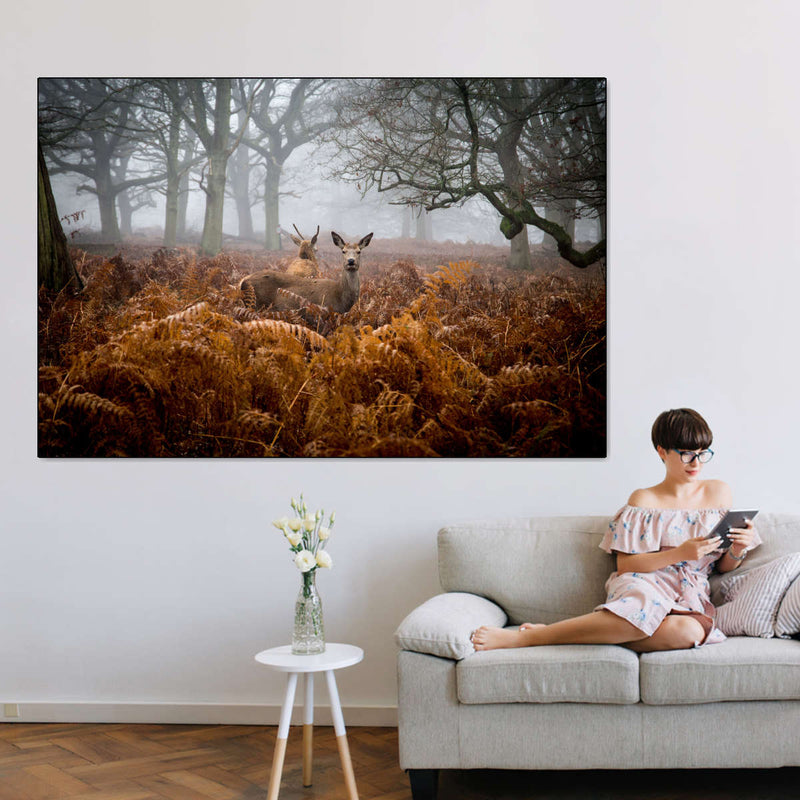 Richmond Park Deer Wall Art
