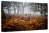 Richmond Park Deer Wall Art