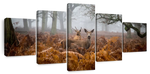 Richmond Park Deer Wall Art
