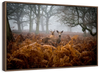 Richmond Park Deer Wall Art