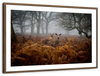 Richmond Park Deer Wall Art