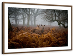 Richmond Park Deer Wall Art