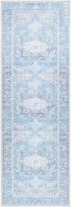 Aqua Rosman Washable Area Rug