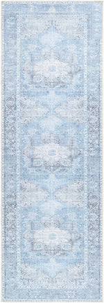 Aqua Rosman Washable Area Rug