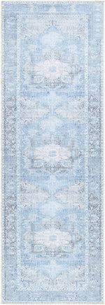 Aqua Rosman Washable Area Rug