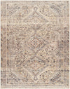 Barny Tan Washable Rug