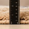 Inspection - luxury beni mrirt rug
