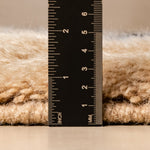 Inspection - luxury beni mrirt rug