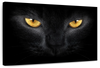 Yellow Eyed Cat Wall Art