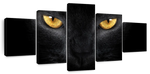 Yellow Eyed Cat Wall Art