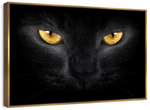 Yellow Eyed Cat Wall Art