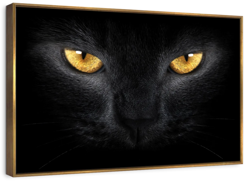 Yellow Eyed Cat Wall Art